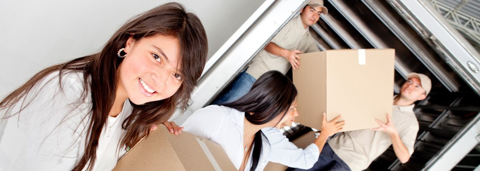 Professional Removalists Currumbin Waters